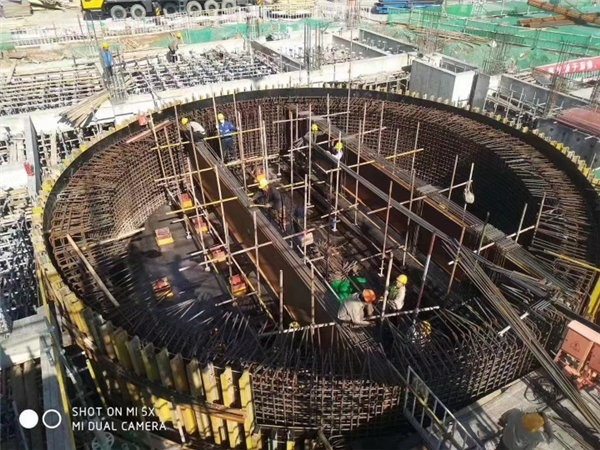 Aplicaciones de madera contrachapada con revestimiento de película (1)