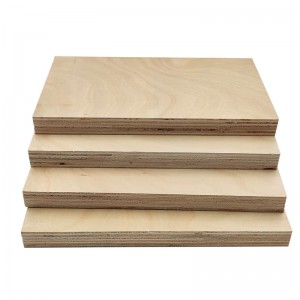 9mm 12mm 15mm High Quality Full Birch Plywood for Sale