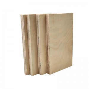 3mm-40mm Birch Plywood