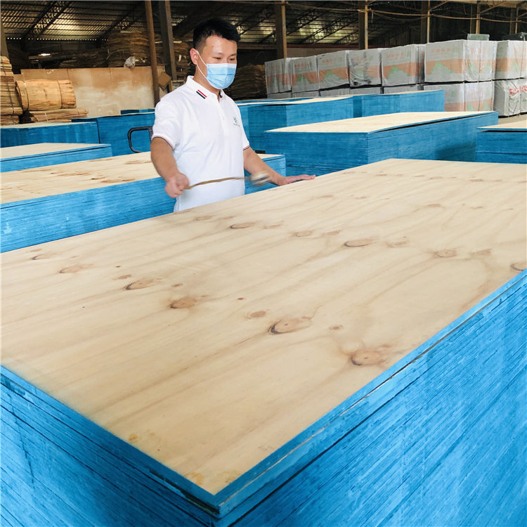 CDX Pine Plywood1 (2)