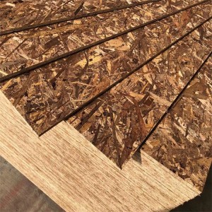 Fortuna 9mm 12mm 15mm 18mm OSB 3 OSB 2 (Panneaux à copeaux orientés) Panneau OSB