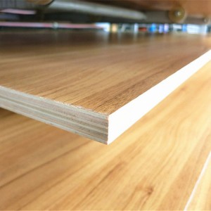 White Color Melamine Paper Furniture Grade Plywood