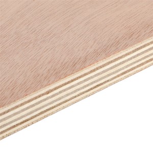 2-40mm Plywood Sheet