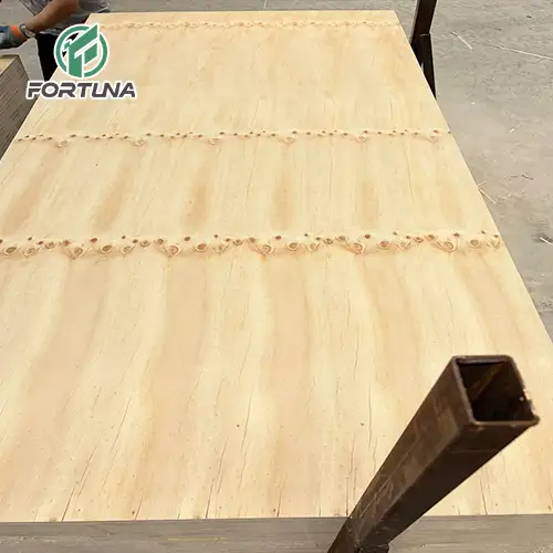china cdx pine plywood