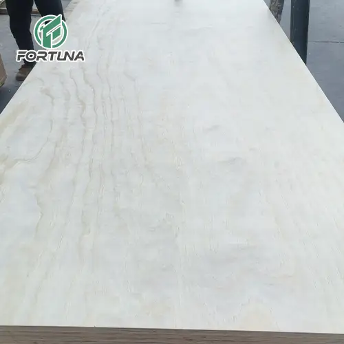 china poplar plywood